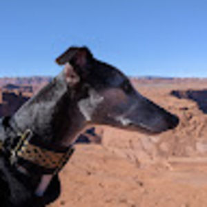 Meet your Posher, Kirsten